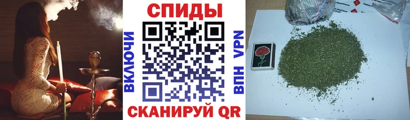 omg ссылка  Сунжа  Бутират Butirat  где купить наркоту 